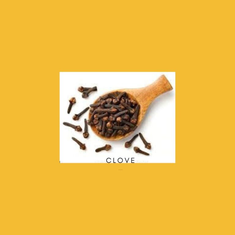 Clove