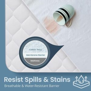 Safe Rest Mattress Protector