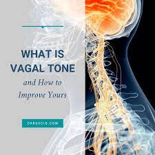 What is Vagal Toning? 