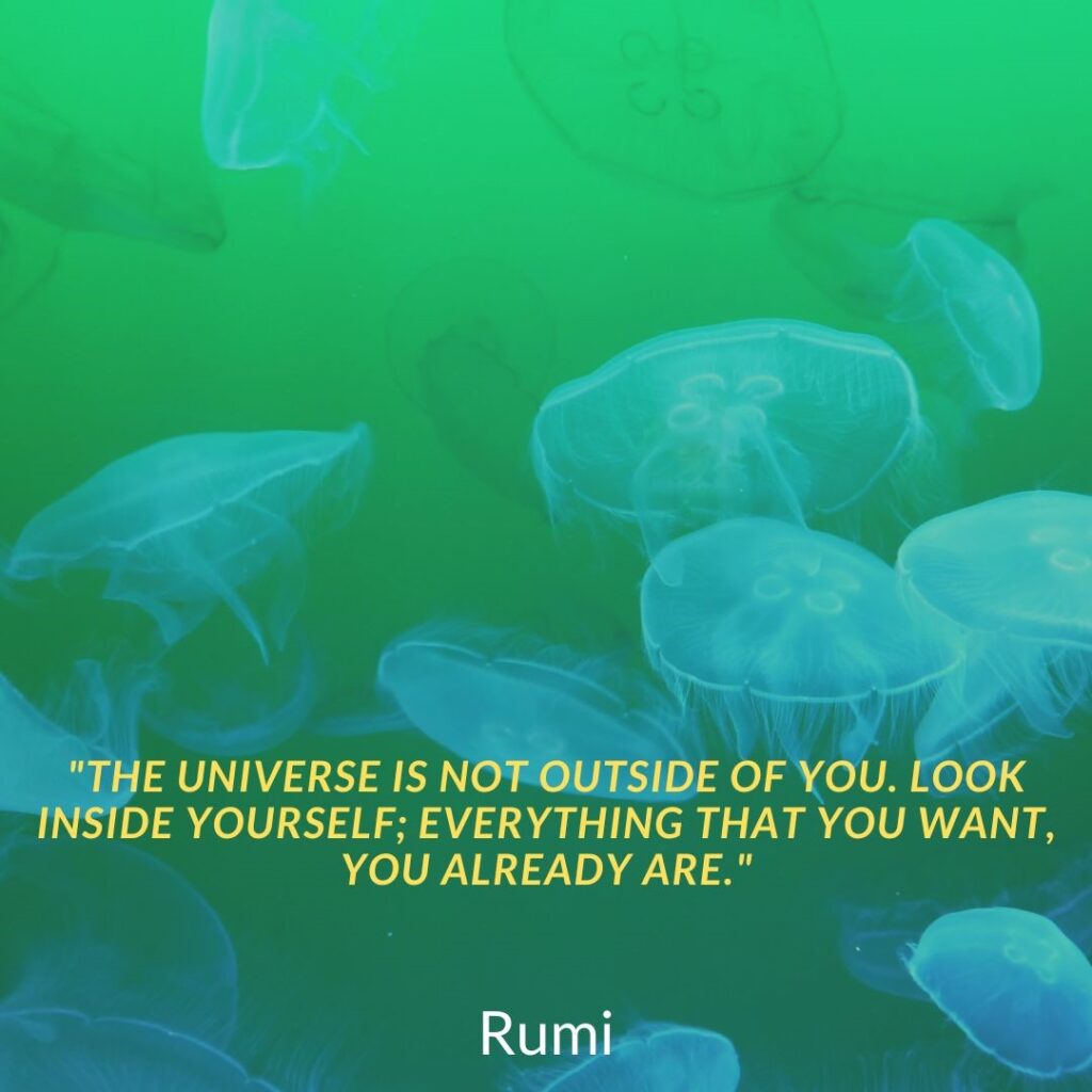  "The Universe is Not Outside of You. Look Inside Yourself; Everything That You Want, You Already Are."Introduction: The Quest Within Rumi's words have an uncanny ability to reach the deepest corners of our hearts, awakening emotions and insights that lie dormant within us. The quote, "The Universe is Not Outside of You. Look Inside Yourself; Everything That You Want, You Already Are," is a luminous reminder of the boundless potential that resides within each of us. Through the gentle urgency of these words, we embark on an emotional journey—one that urges us to explore our inner landscapes, discover our innate treasures, and embrace the power of self-realization.  We often look to the outside world for happiness, fulfilment, and success. We think that if we can just get the right job, the right car, the right house, then we will be happy. But Rumi is saying that true happiness comes from within. It is not something that we can find outside of ourselves.