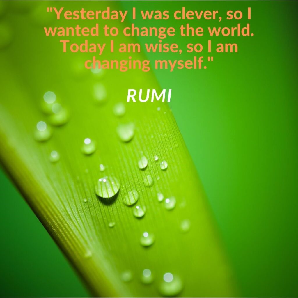 Yesterday I was clever, so I wanted to change the world. Today I am wise, so I am changing myself."
