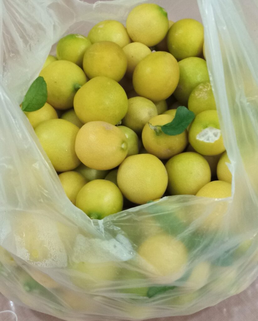 Fresh Lemons