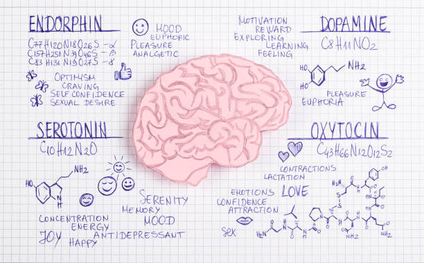 Guide to Boosting Feel-Good Hormones Naturally