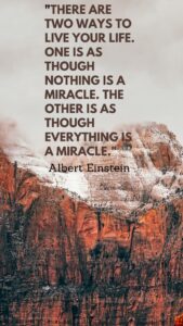 The quote by Albert Einstein