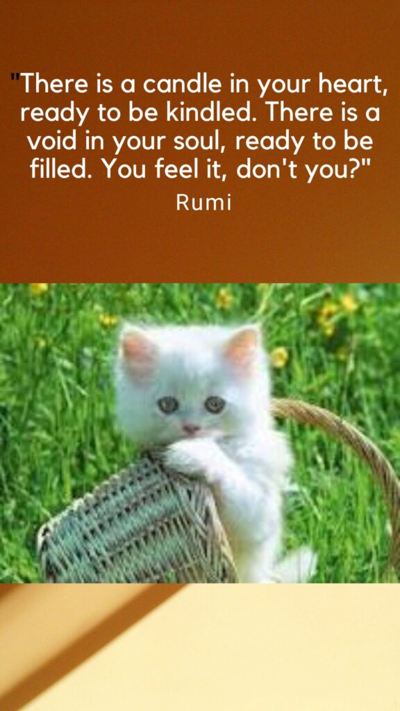 Rumi's quote 