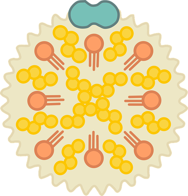 Cholesterol