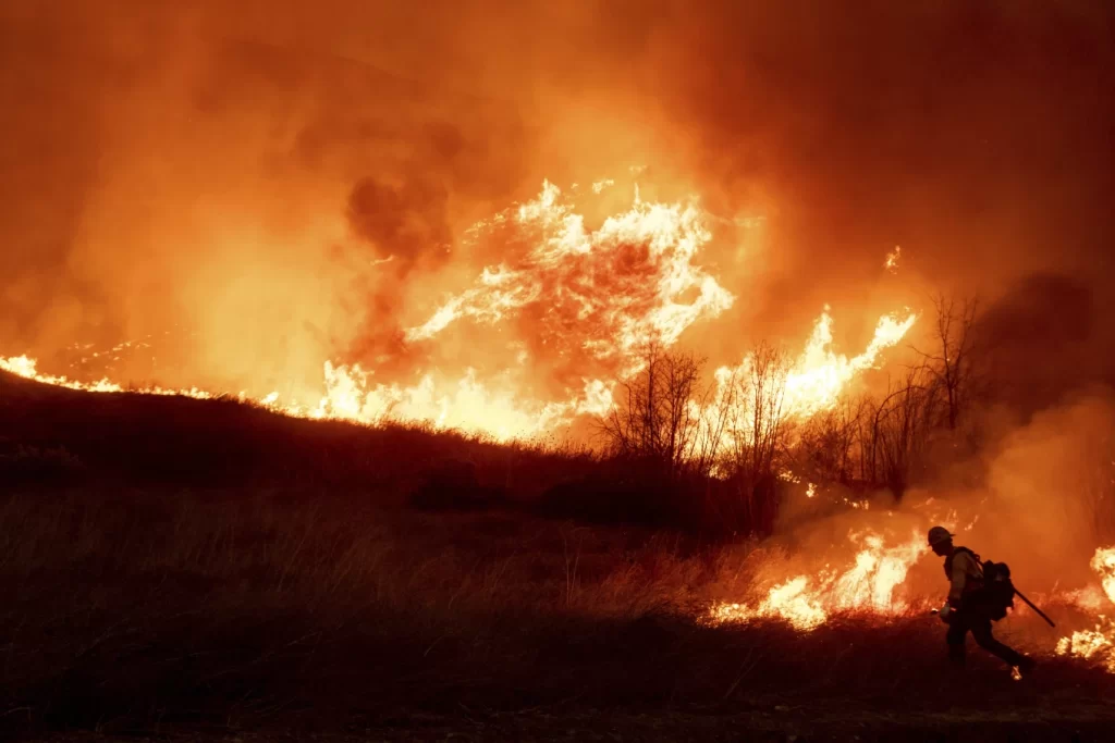 Los Angeles Wild Fire