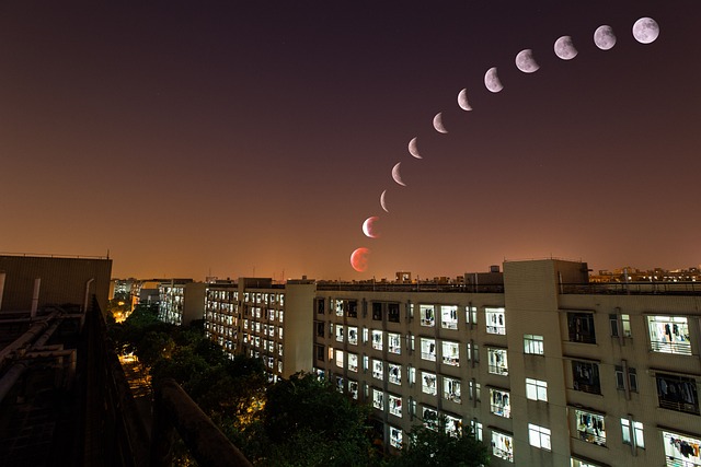 Lunar Eclipses in 2025