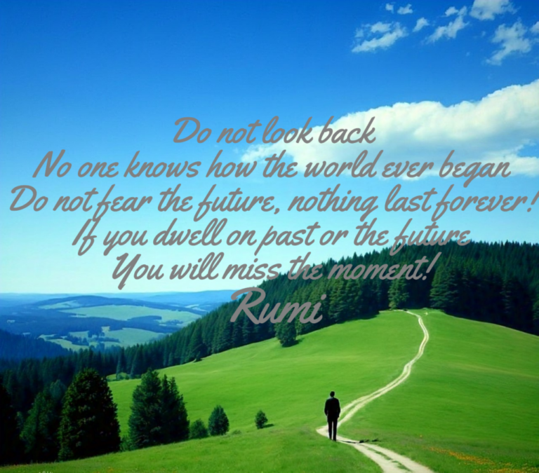 Embracing the Beauty of the Present Moment:Do-not-look-back-