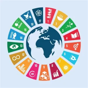 The Journey Through the Sustainable Development Goals