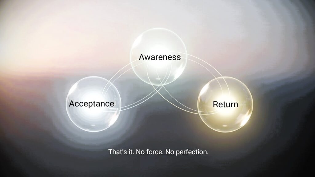 What Mindfulness Really Trains