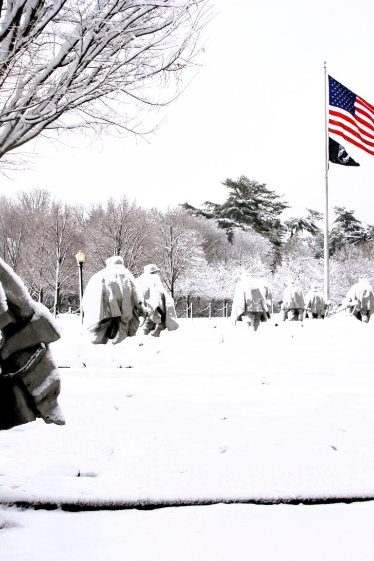  2026 US Winter Storm Nightmare