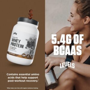Levels Grass Fed Whey Protein Powder
