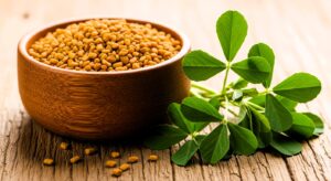 Fenugreek seeds and fresh fenugreek leaves.