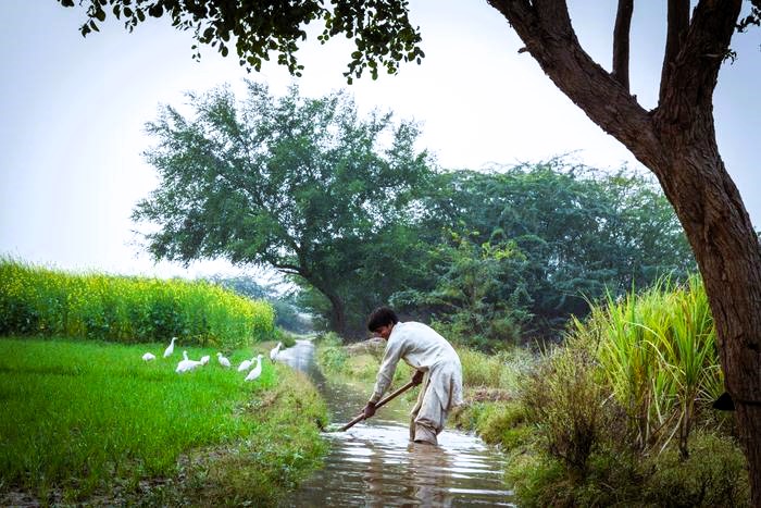 Pakistan’s Food Sovereignty Crisis