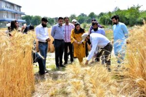 UAF field research and indigenous agricultural science